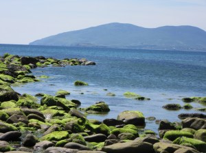 14428940169_e1d4366125_k