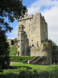 14612326421_480c70fb58_k